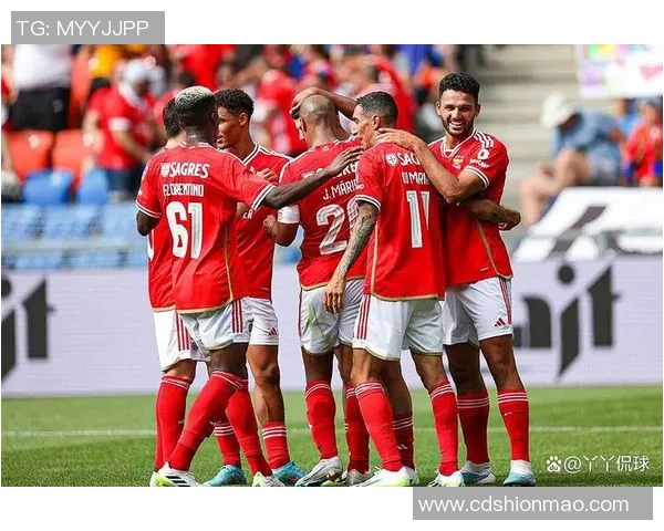 中超赛场惊现本菲卡大胜多特蒙德红牌事件引发全场热议