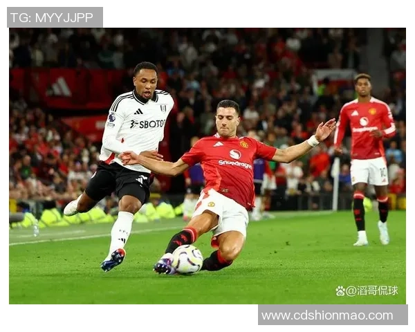 欧联杯精彩对决里昂与曼联战成平局争议判罚引发全场热议